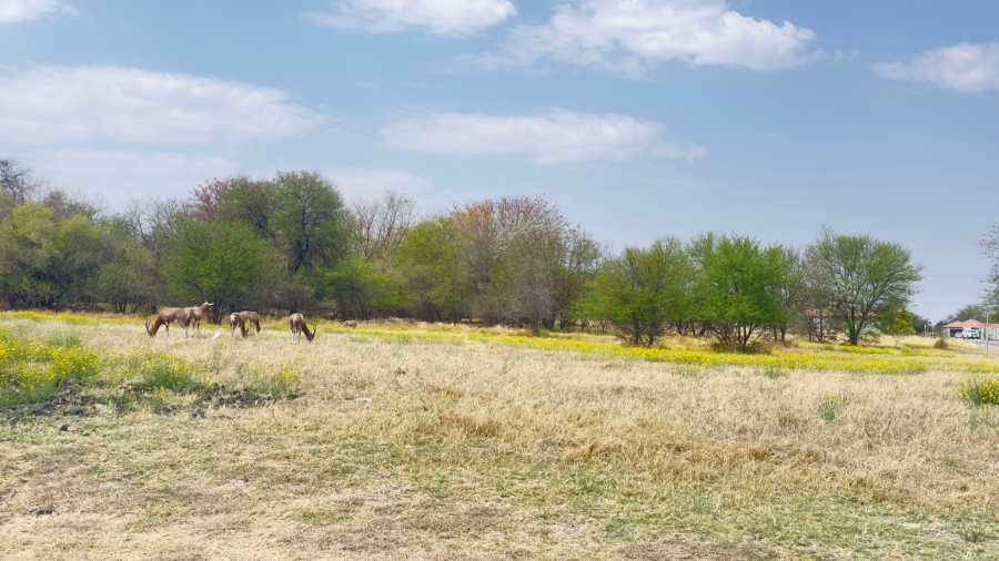 3 Bedroom Property for Sale in Ngwenya River Estate North West